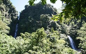 Natty Tropical Valley