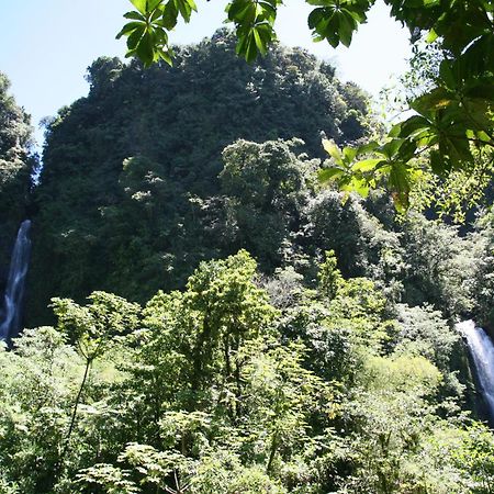 Natty Tropical Valley Roseau Extérieur photo