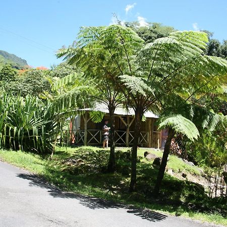 Natty Tropical Valley Roseau Extérieur photo