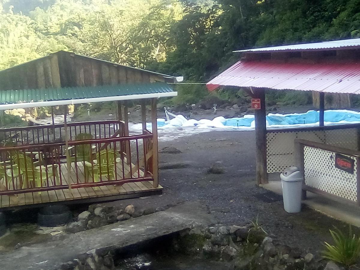 Natty Tropical Valley Roseau Extérieur photo