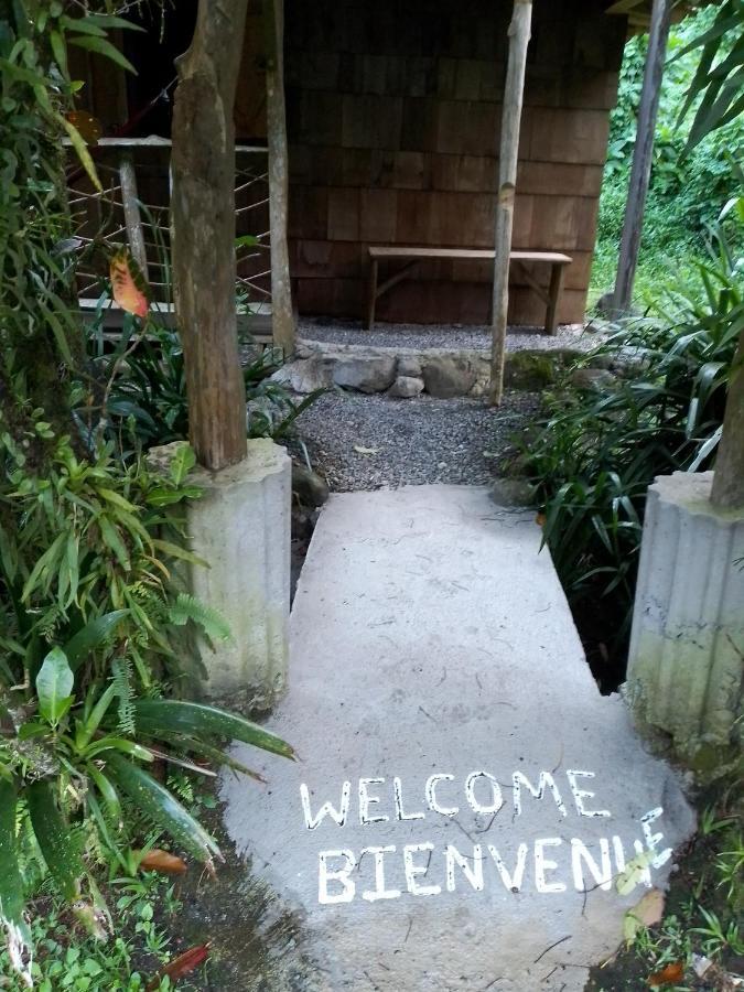 Natty Tropical Valley Roseau Extérieur photo