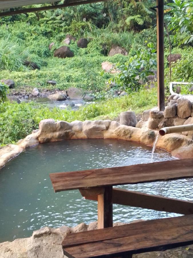 Natty Tropical Valley Roseau Extérieur photo