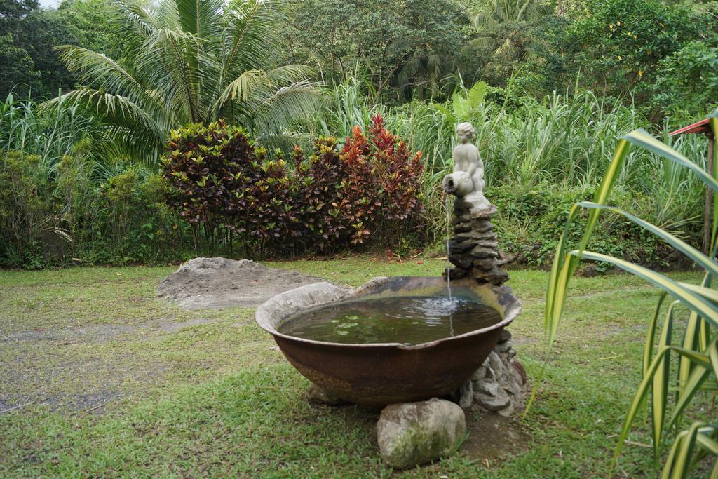Natty Tropical Valley Roseau Extérieur photo