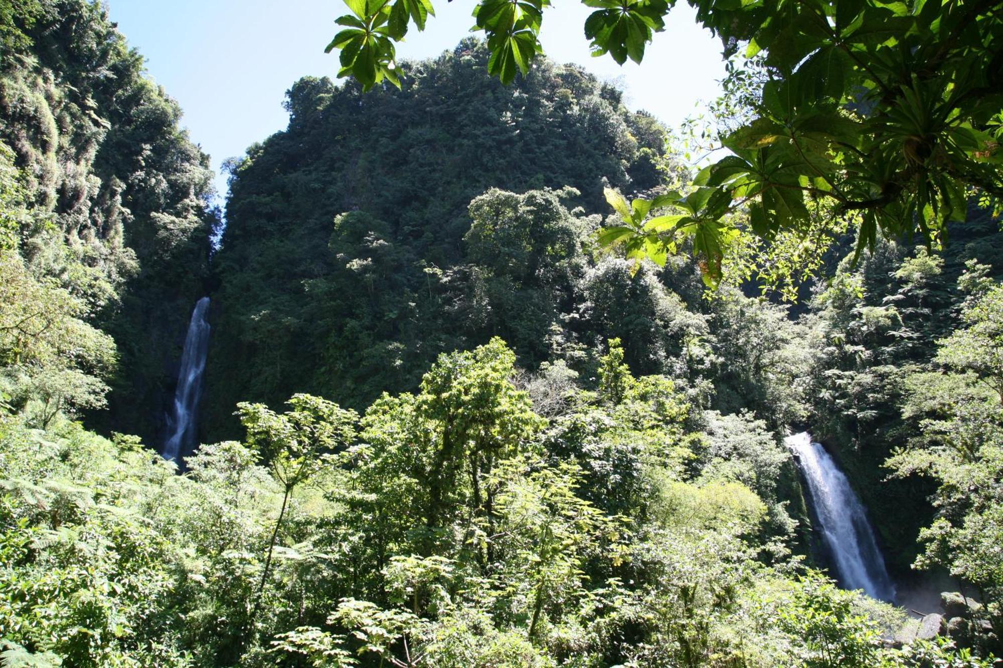 Natty Tropical Valley Roseau Extérieur photo