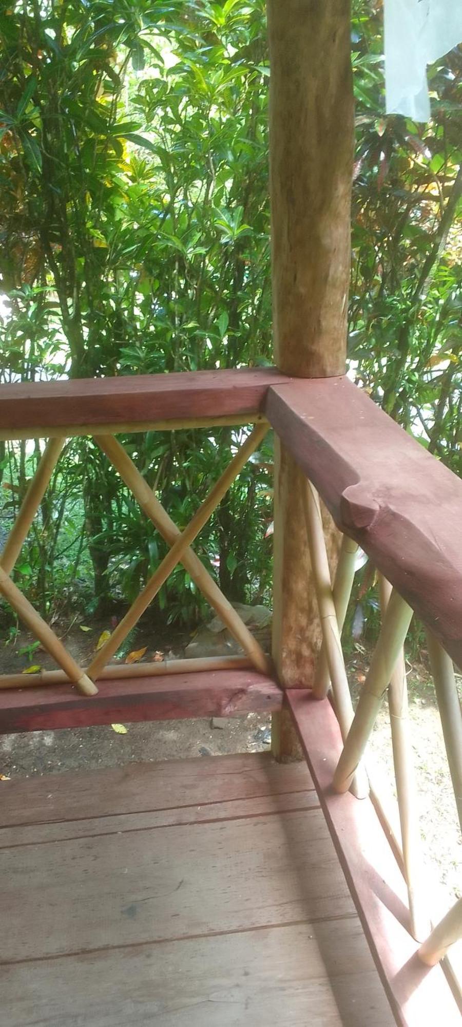 Natty Tropical Valley Roseau Extérieur photo