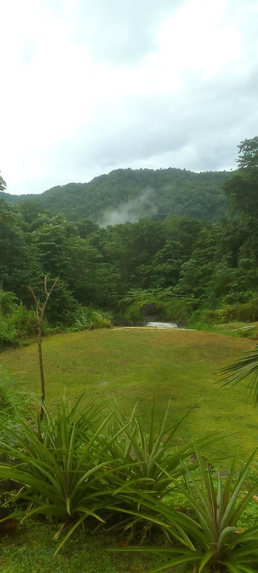 Natty Tropical Valley Roseau Extérieur photo