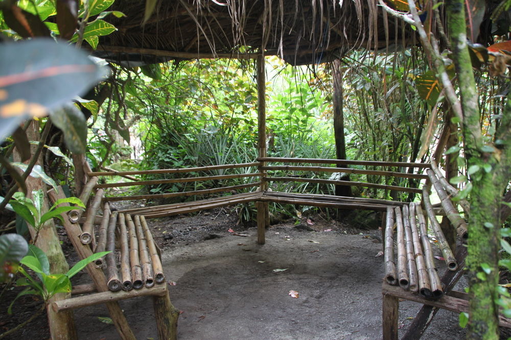 Natty Tropical Valley Roseau Extérieur photo