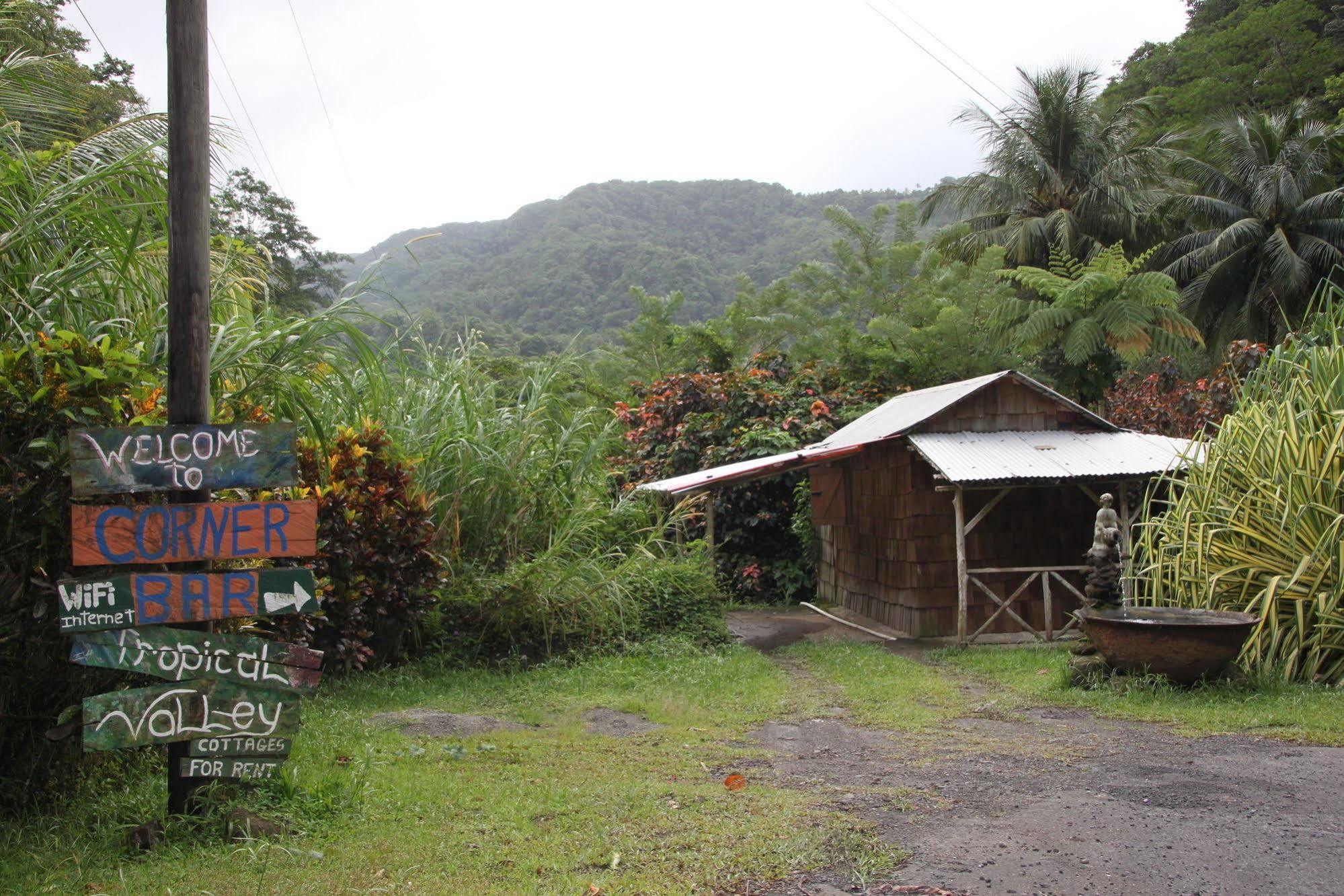 Natty Tropical Valley Roseau Extérieur photo